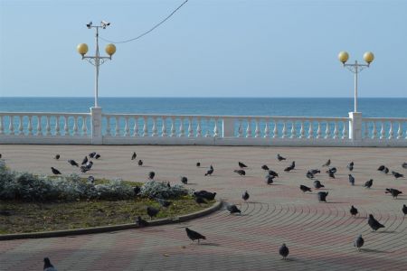 Пансионат "Энергетик"