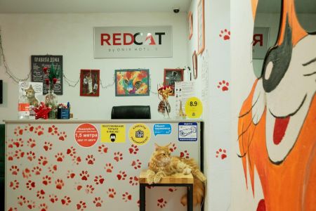 RedCat