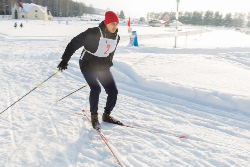 трассы для беговых лыж