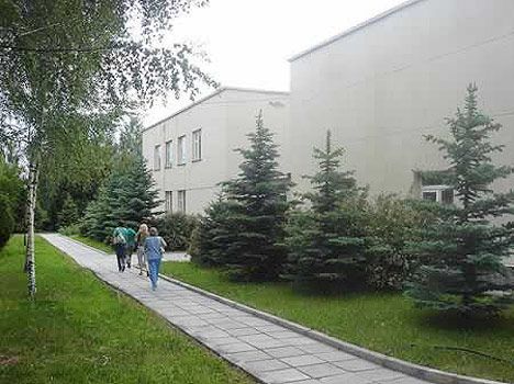 Внешний вид
