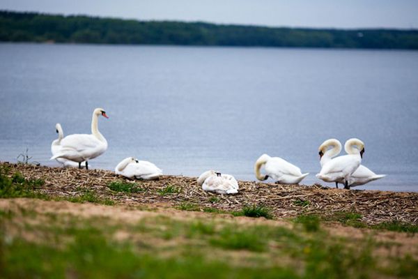 Заславское водохранилище