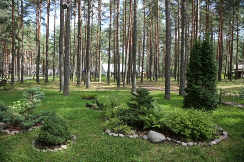 Территория