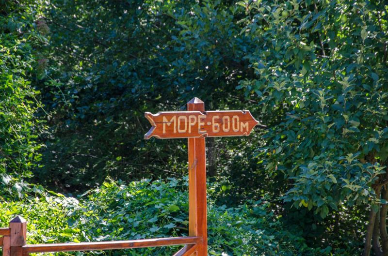 Территория