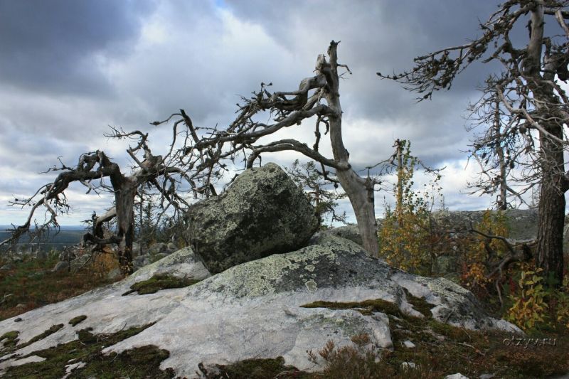 Окрестности