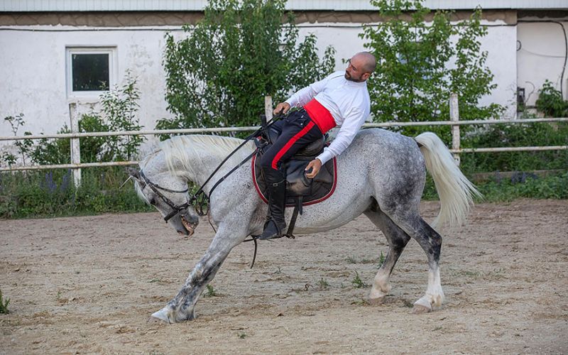 развлечения  (5)