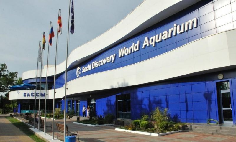 Sochi Discovery World Aquarium океанариум