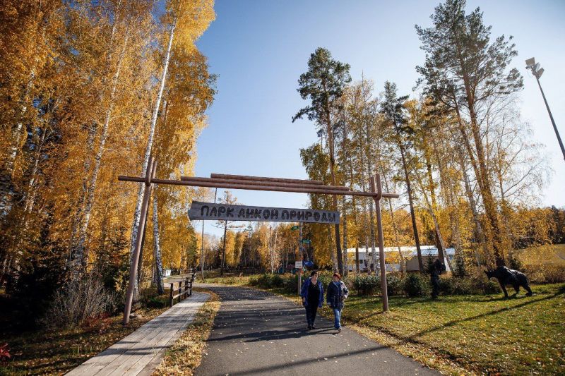 Парк дикой природы