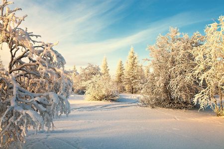 Узоры северной зимы. Архангельск