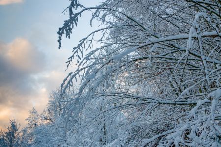 Жемчужина новгородского края