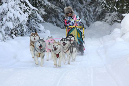 Февральские каникулы в Карелии