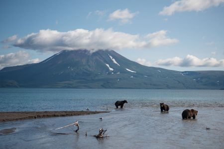 Камчатские вулканы